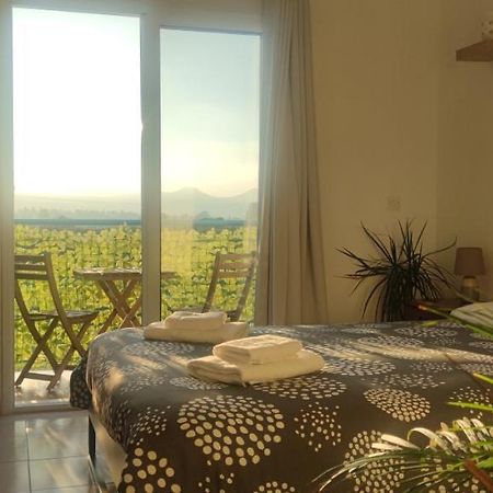Thalassa Seaside Boutique Beach Apartment Polis Eksteriør billede