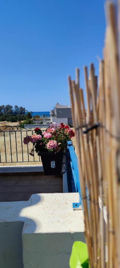 Thalassa Seaside Boutique Beach Apartment Polis Eksteriør billede