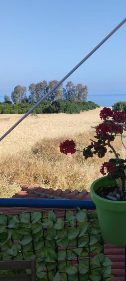 Thalassa Seaside Boutique Beach Apartment Polis Eksteriør billede