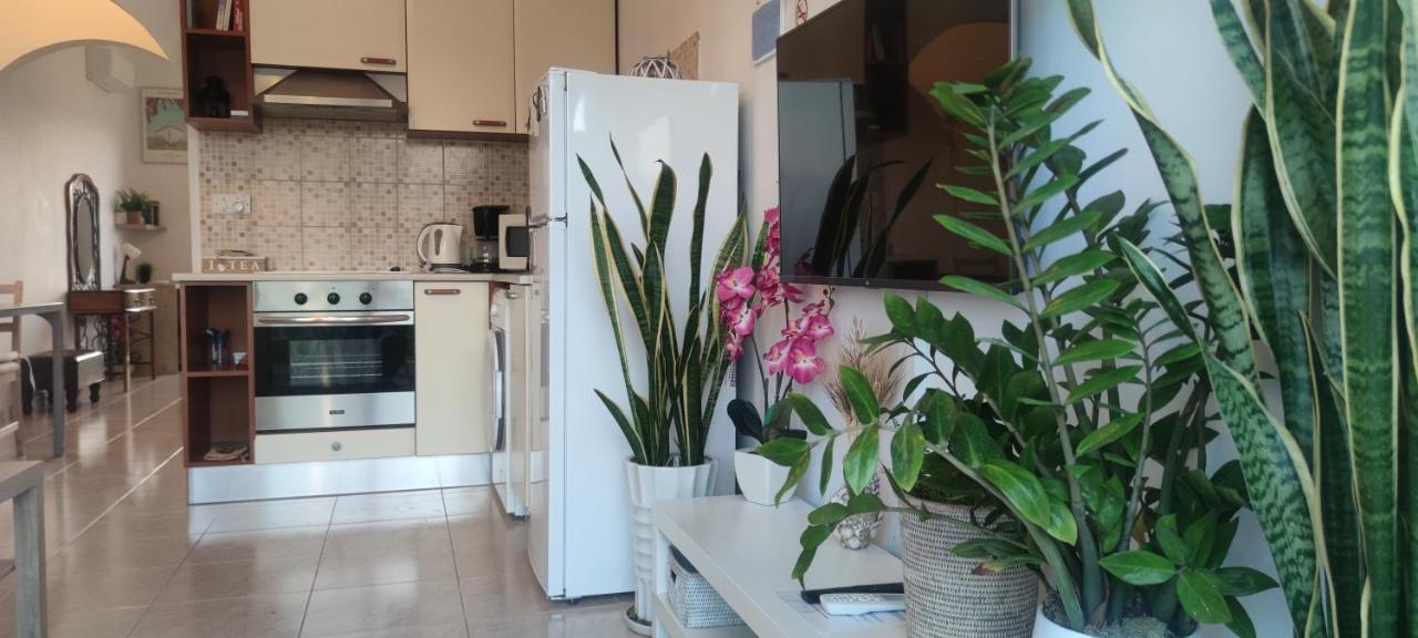 Thalassa Seaside Boutique Beach Apartment Polis Eksteriør billede