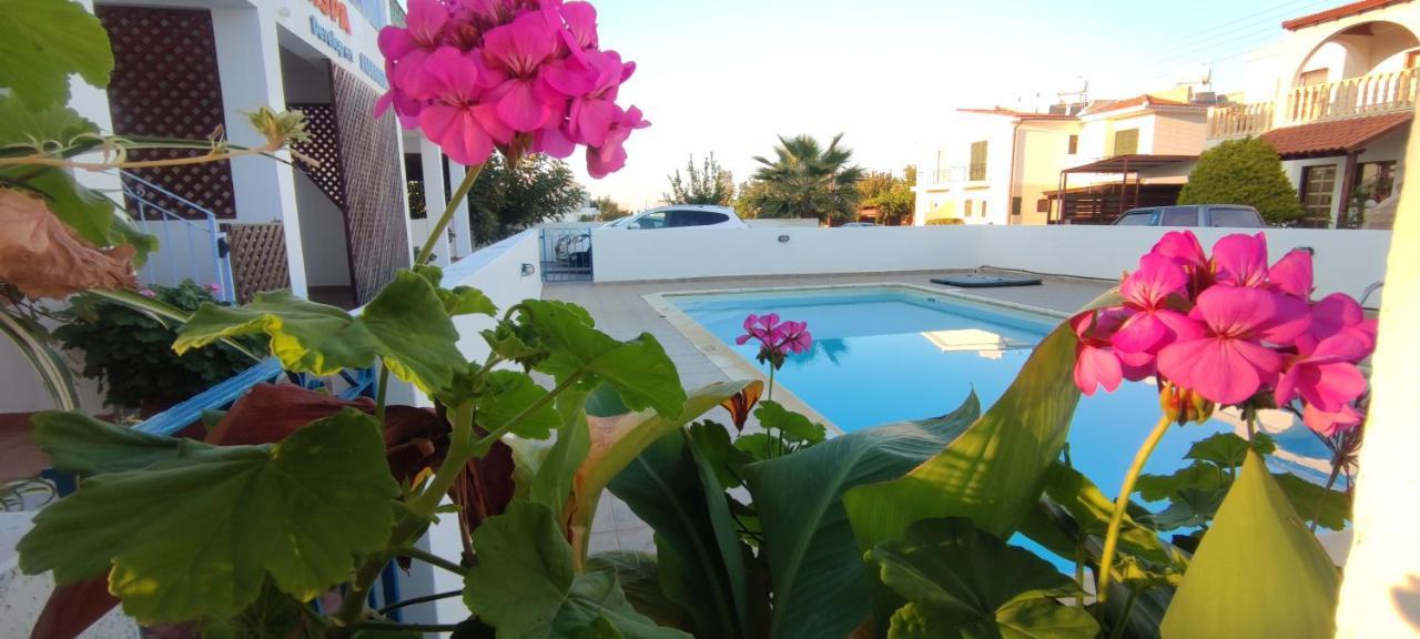 Thalassa Seaside Boutique Beach Apartment Polis Eksteriør billede